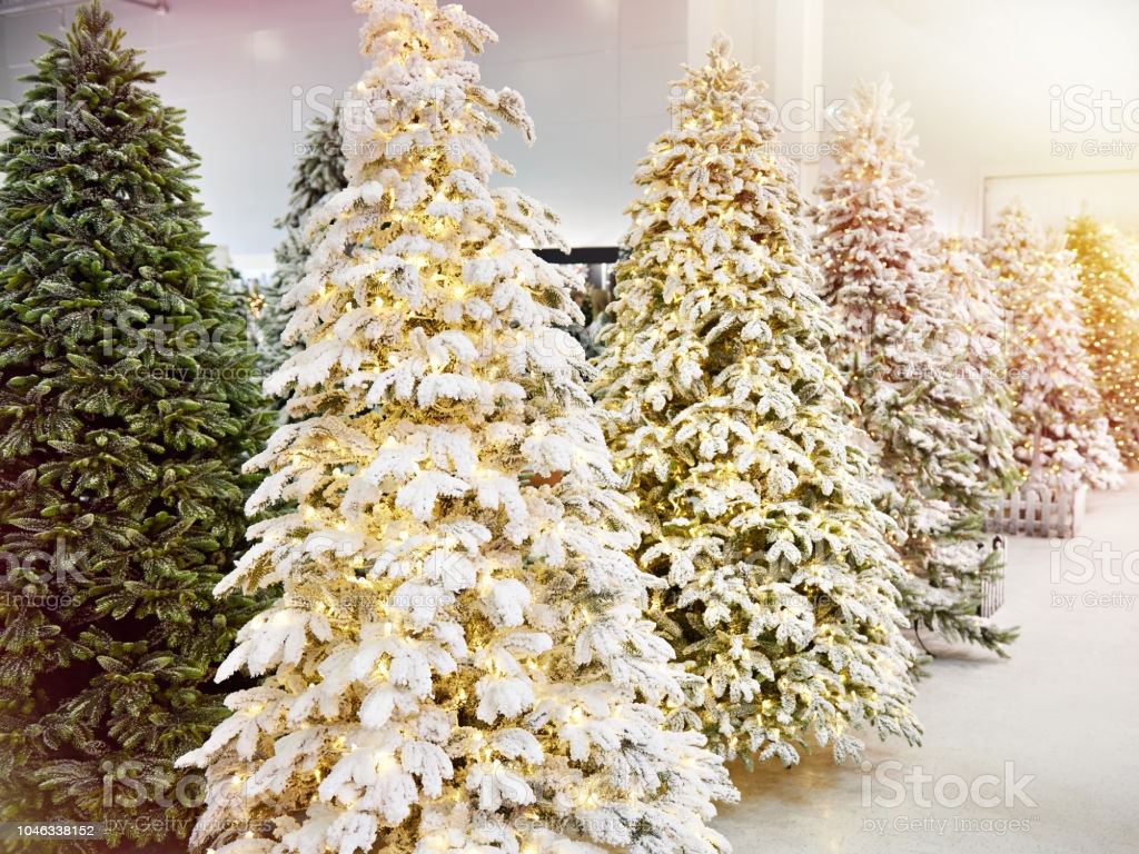 Decorative Artificial Christmas Trees In Store Image Now