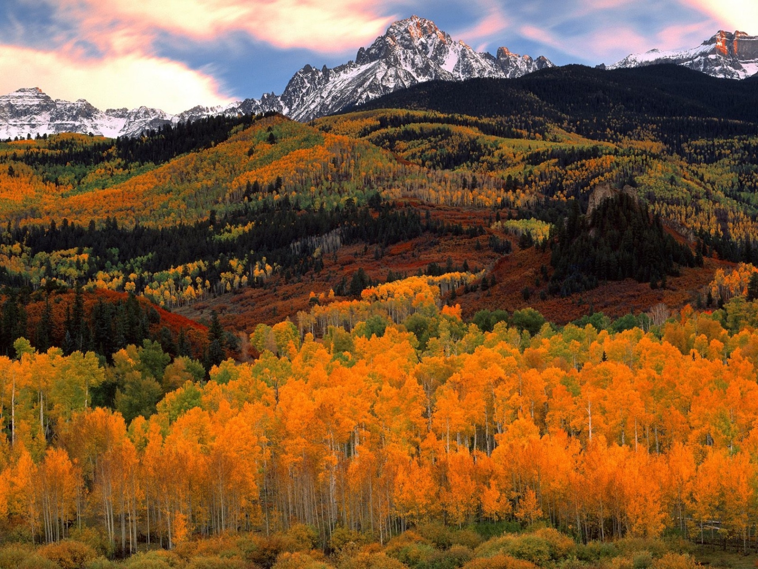 Hilly Autumn Forest & Mountain desktop PC and Mac wallpaper