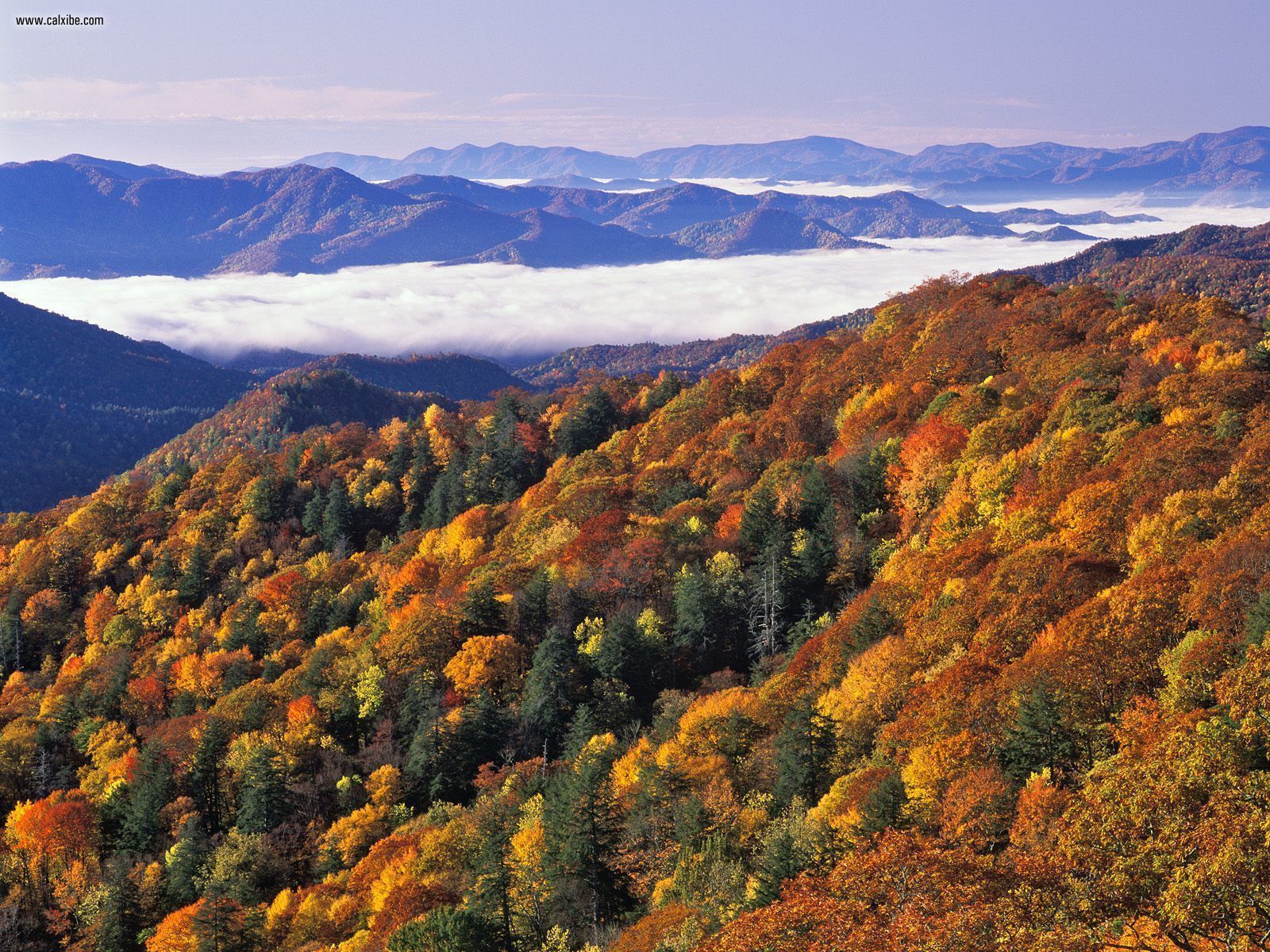 Smoky Mountain Autumn Desktop Wallpaper