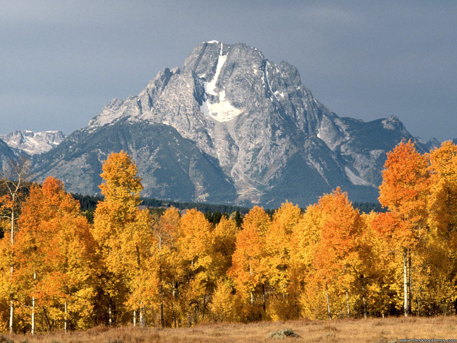 Desktop Wallpaper Natural Background Mount Moran in Autumn, Wyoming