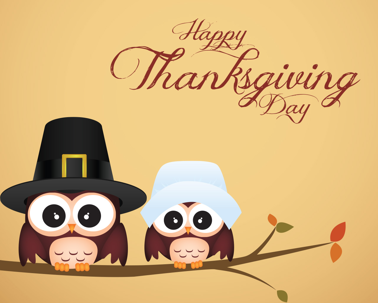 thanksgiving wallpaper, owl, headgear, bird, thanksgiving, hat