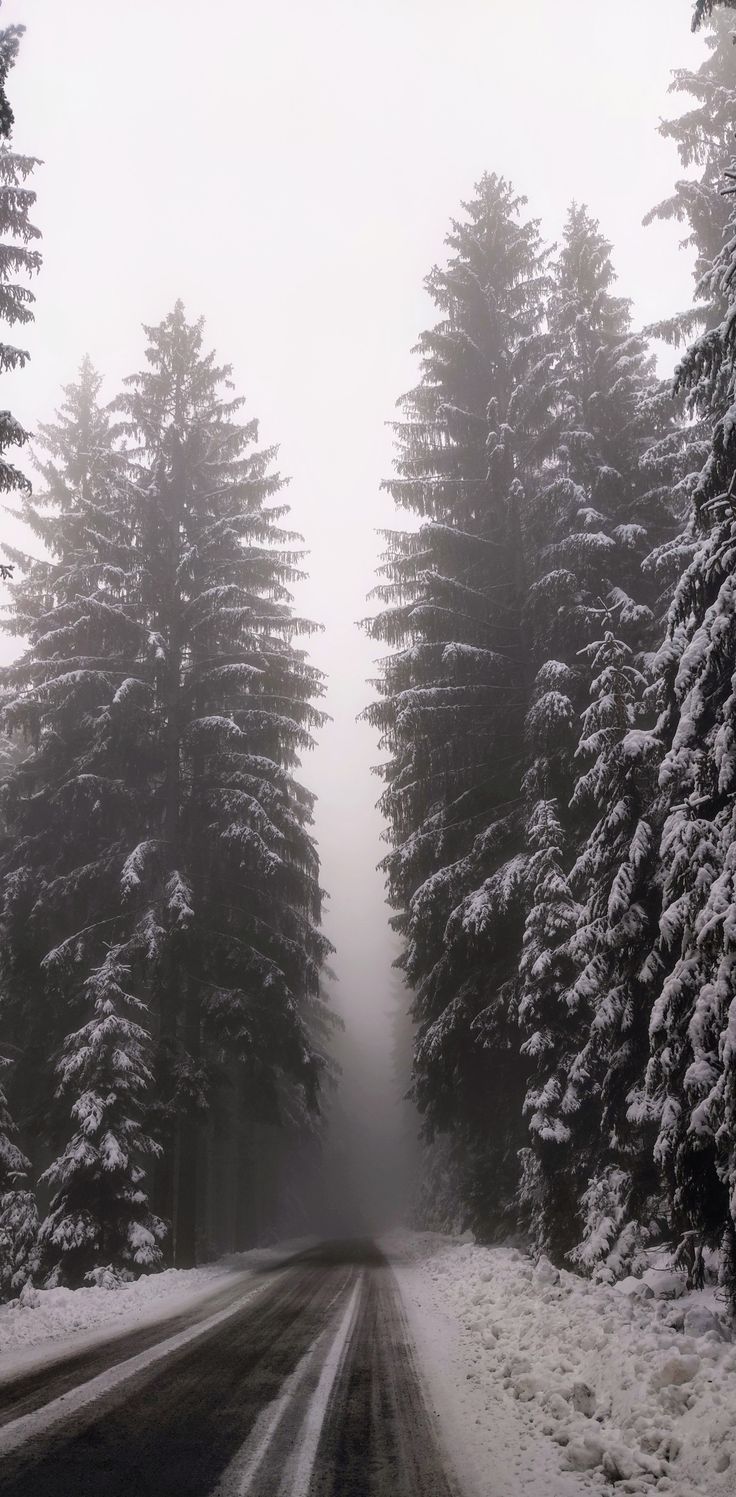 road to nowhere. Winter snow wallpaper, Winter scenery, Dark nature aesthetic
