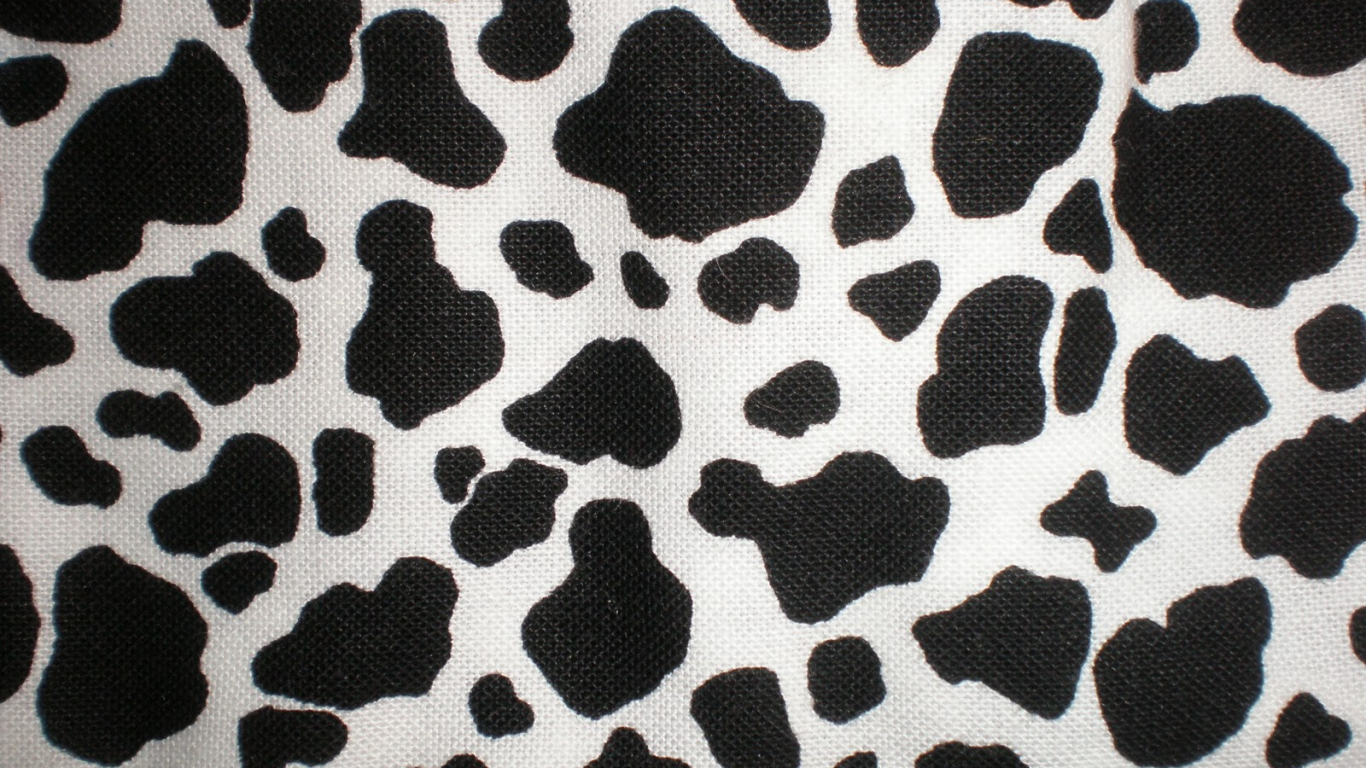 Free download Cow Print Wallpapers Image Pictures Becuo 1600x1200 for your ...