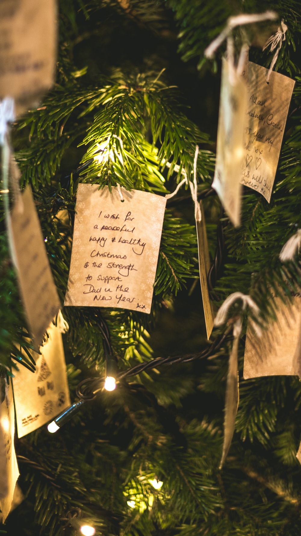 cards hanging on Christmas tree photo