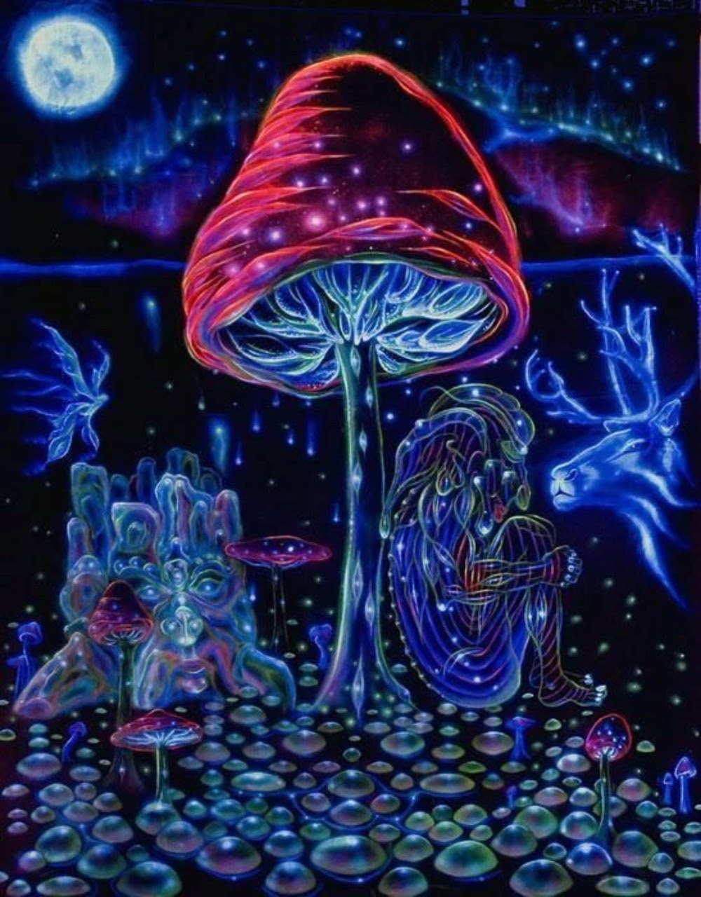 Trippy Mushroom iPhone Wallpaper