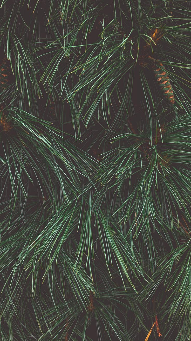 Merry Preppy Christmas iPhone Wallpaper