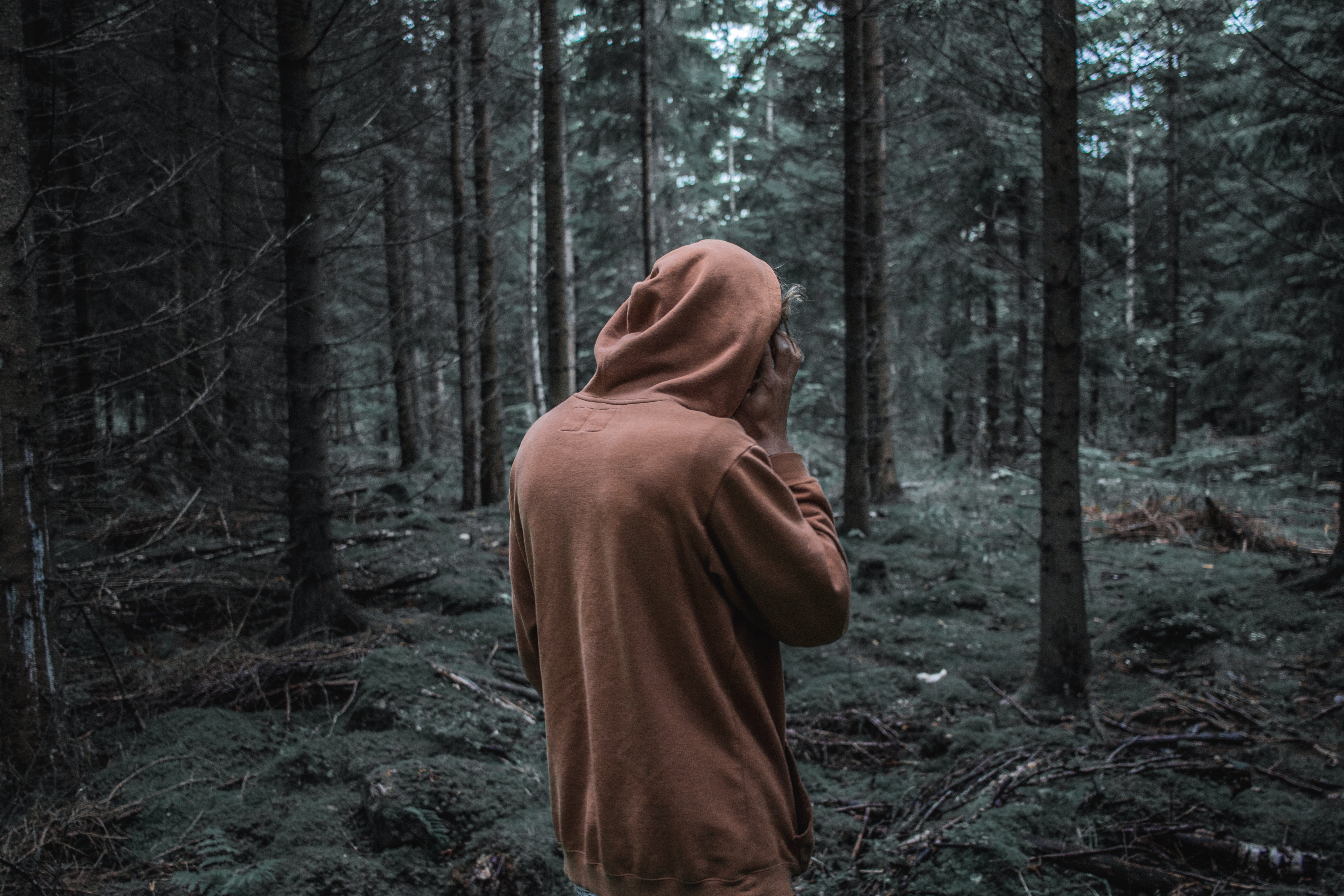 Download 5184x3456 Man, Lonely, Forest, Hoodie, Back View Wallpaper