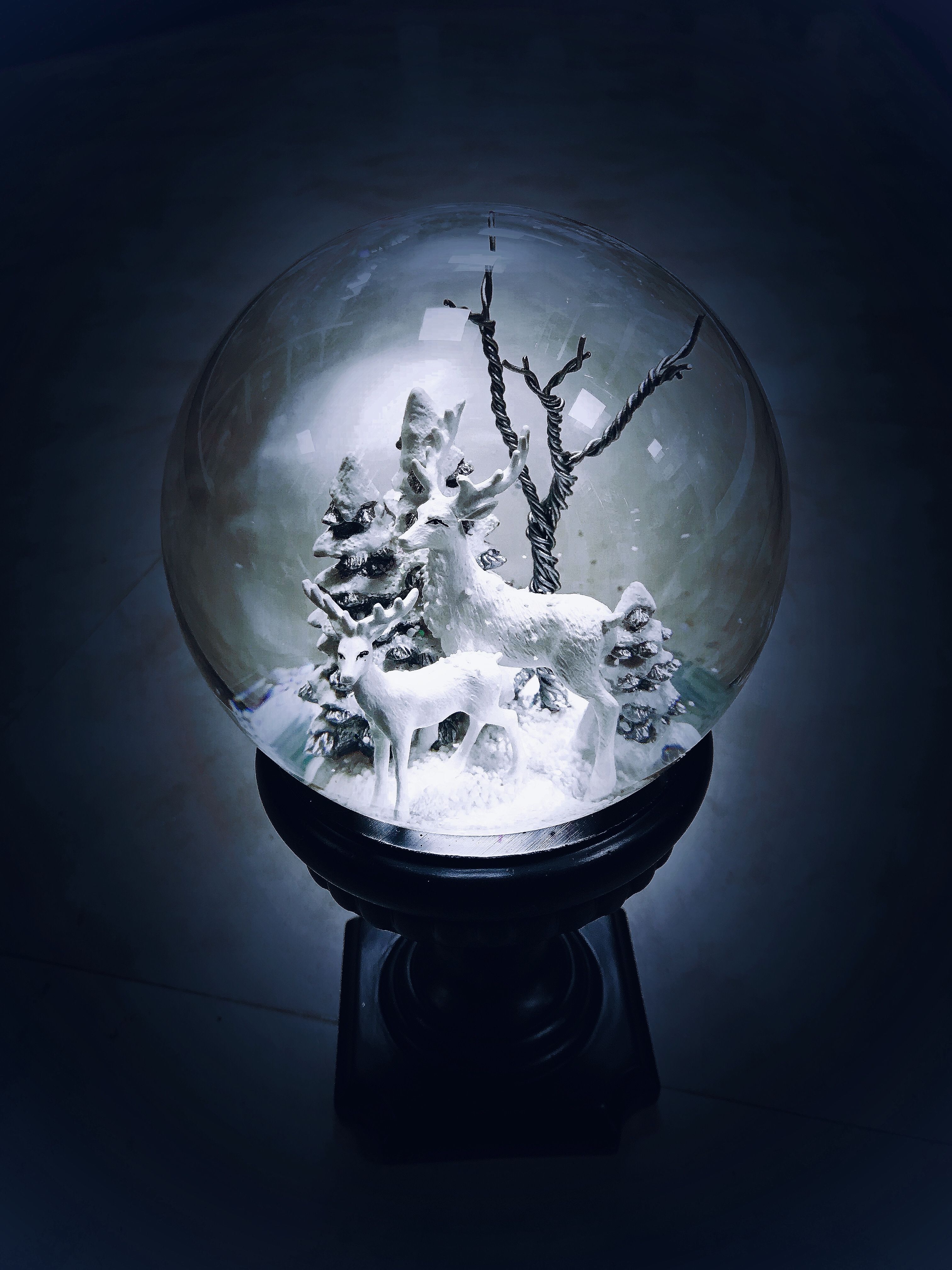 Mysterious glowing snow globe of white reindeers. Globe wallpaper, Snow globes, White reindeer