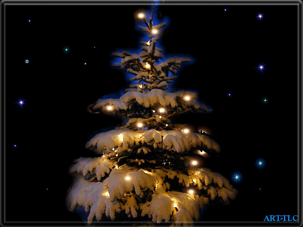 Free download Christmas Tree Wallpaper [1024x768] for your Desktop, Mobile & Tablet. Explore Christmas Tree Wallpaper. Christmas Wallpaper For Desktop, Charlie Brown Christmas Tree Wallpaper, Free Christmas Wallpaper