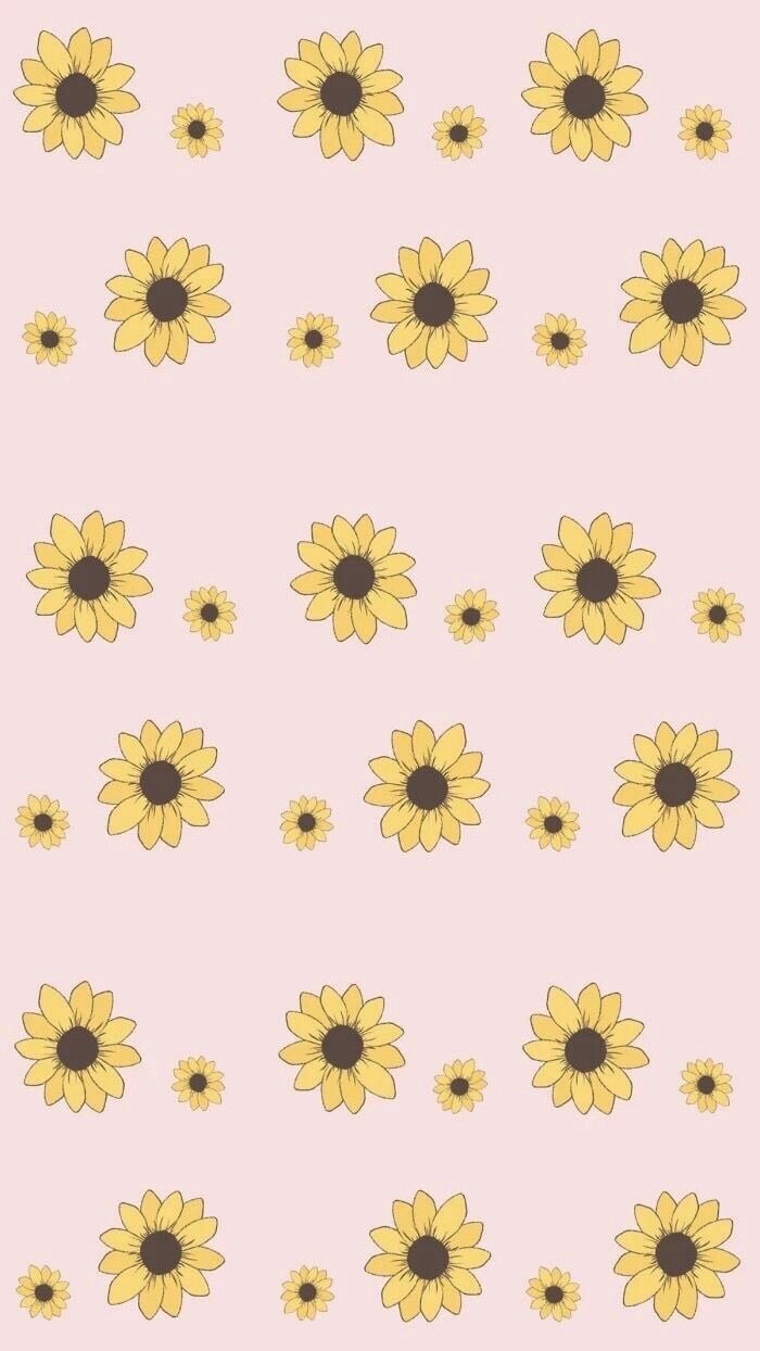 Cute Sunflower Wallpaper APK for Android Download