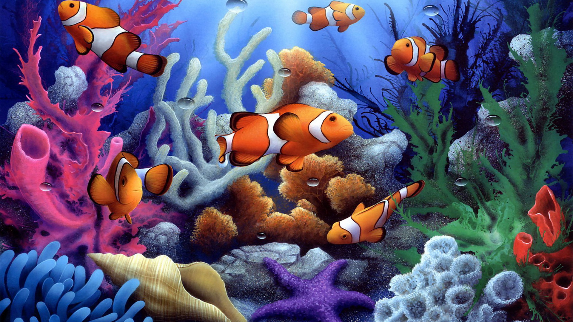 Colorful Underwater Fish Wallpaper