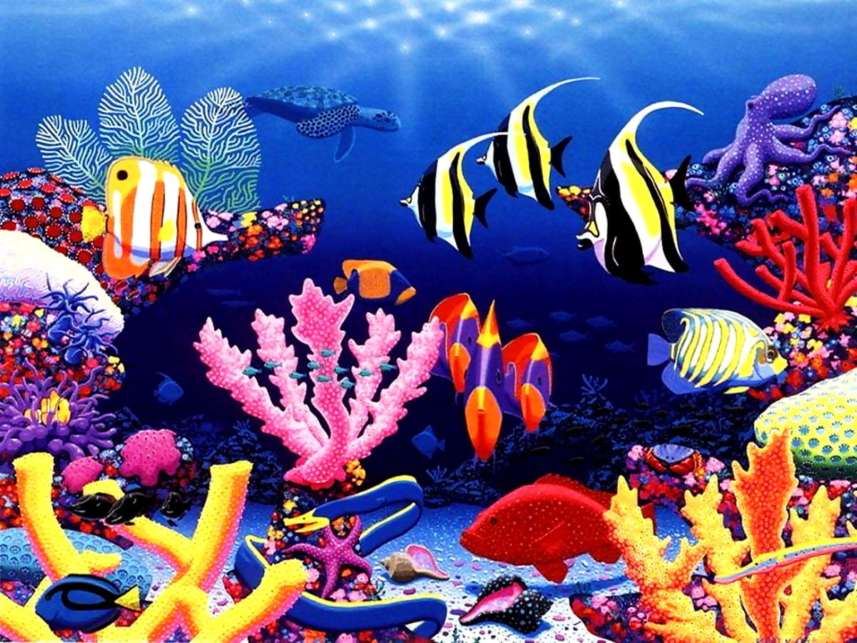 Best Fish wallpaper HD. Download Free image