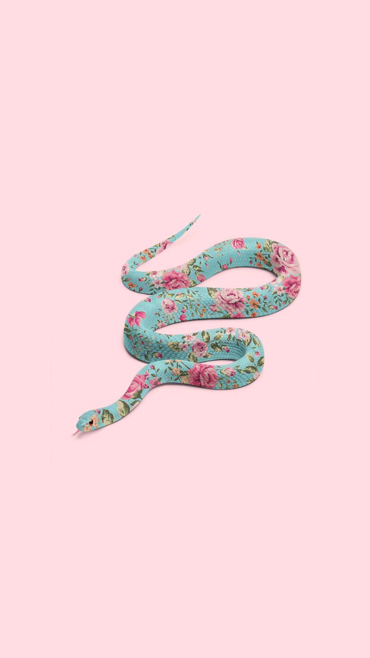wallpaper. Snake wallpaper, Tumblr wallpaper, Animal wallpaper