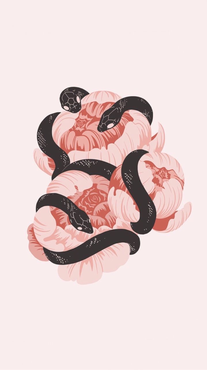Cute Snake Wallpaper Free Cute Snake Background