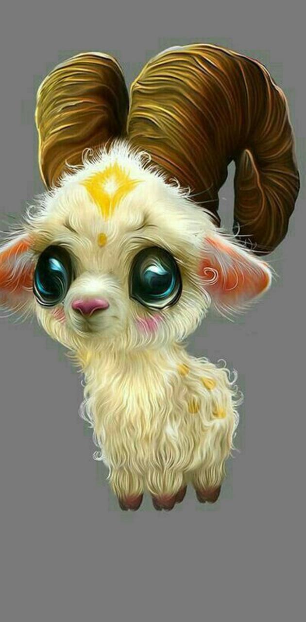 Cute sheep wallpaper