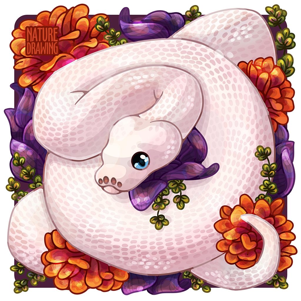 Ball Python By Nature Drawing. Snake Drawing, Cute Snake, Cute Drawings