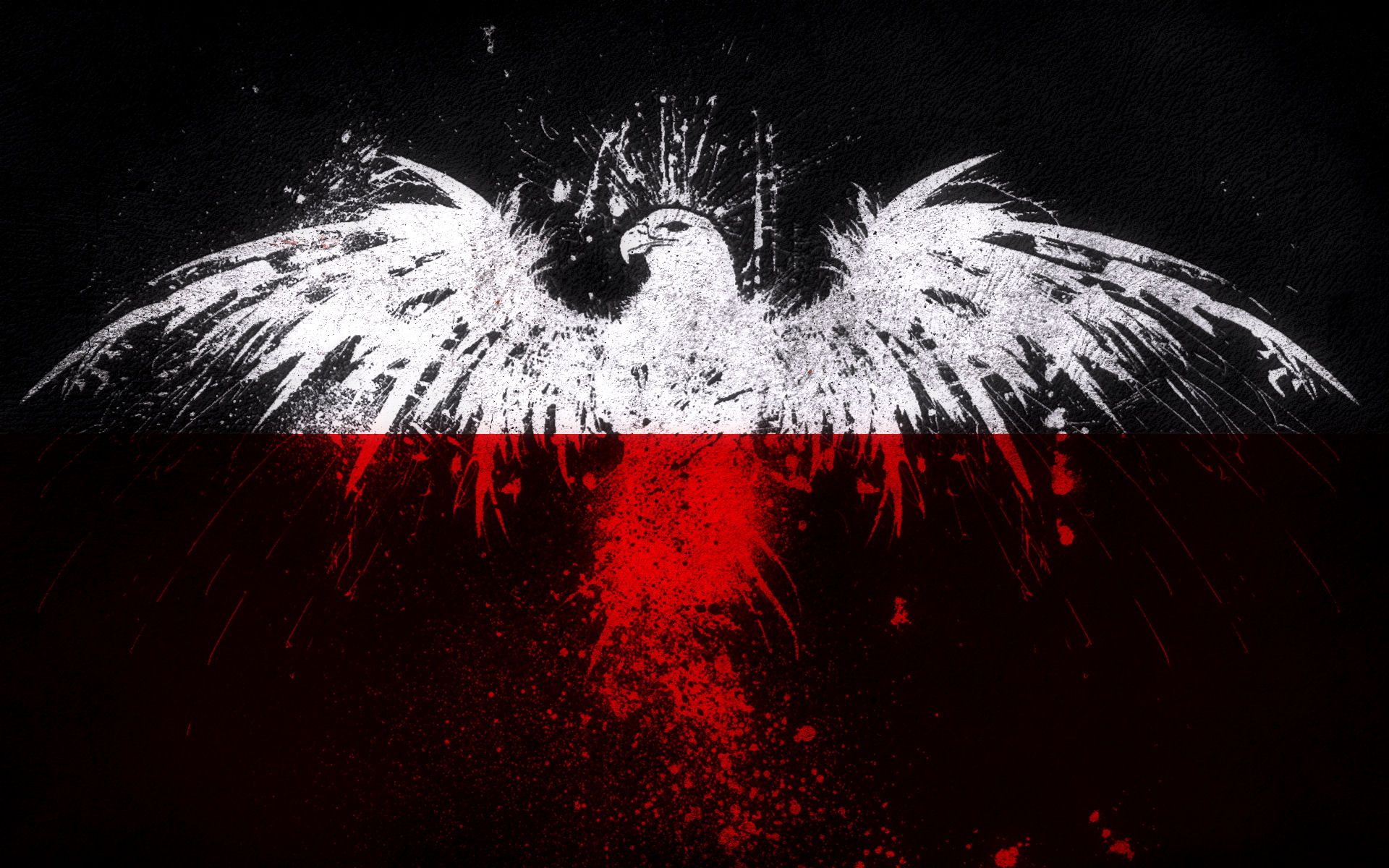 Wallpaper bird, eagle, flag, America, USA for mobile and desktop, section  разное, resolution 2560x1920 - download