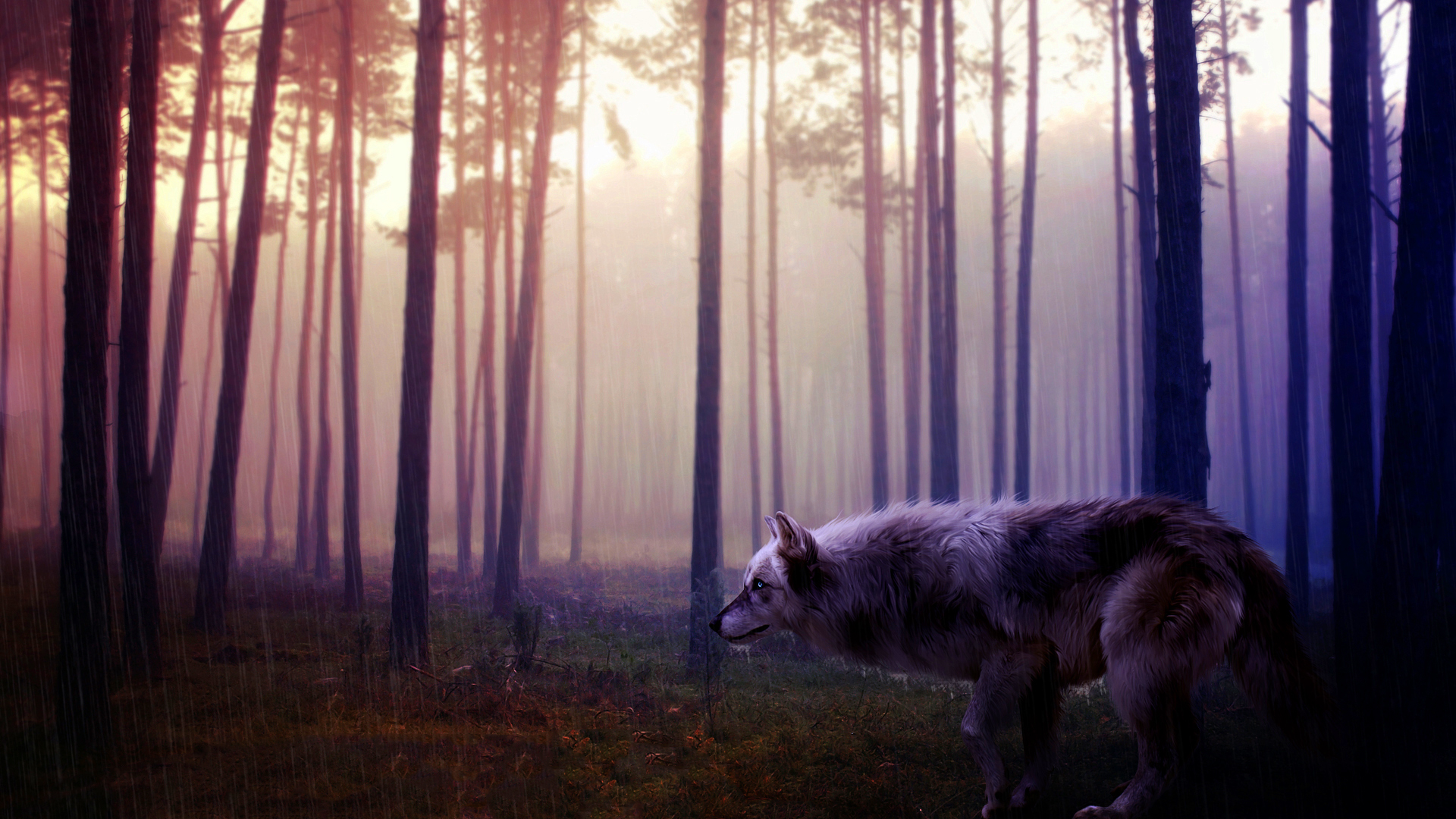 Wild wolf forest art wallpaperx1080
