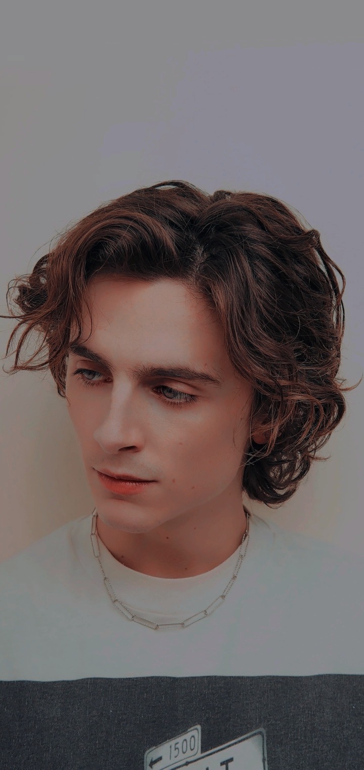 wallpaper timothee chalamet