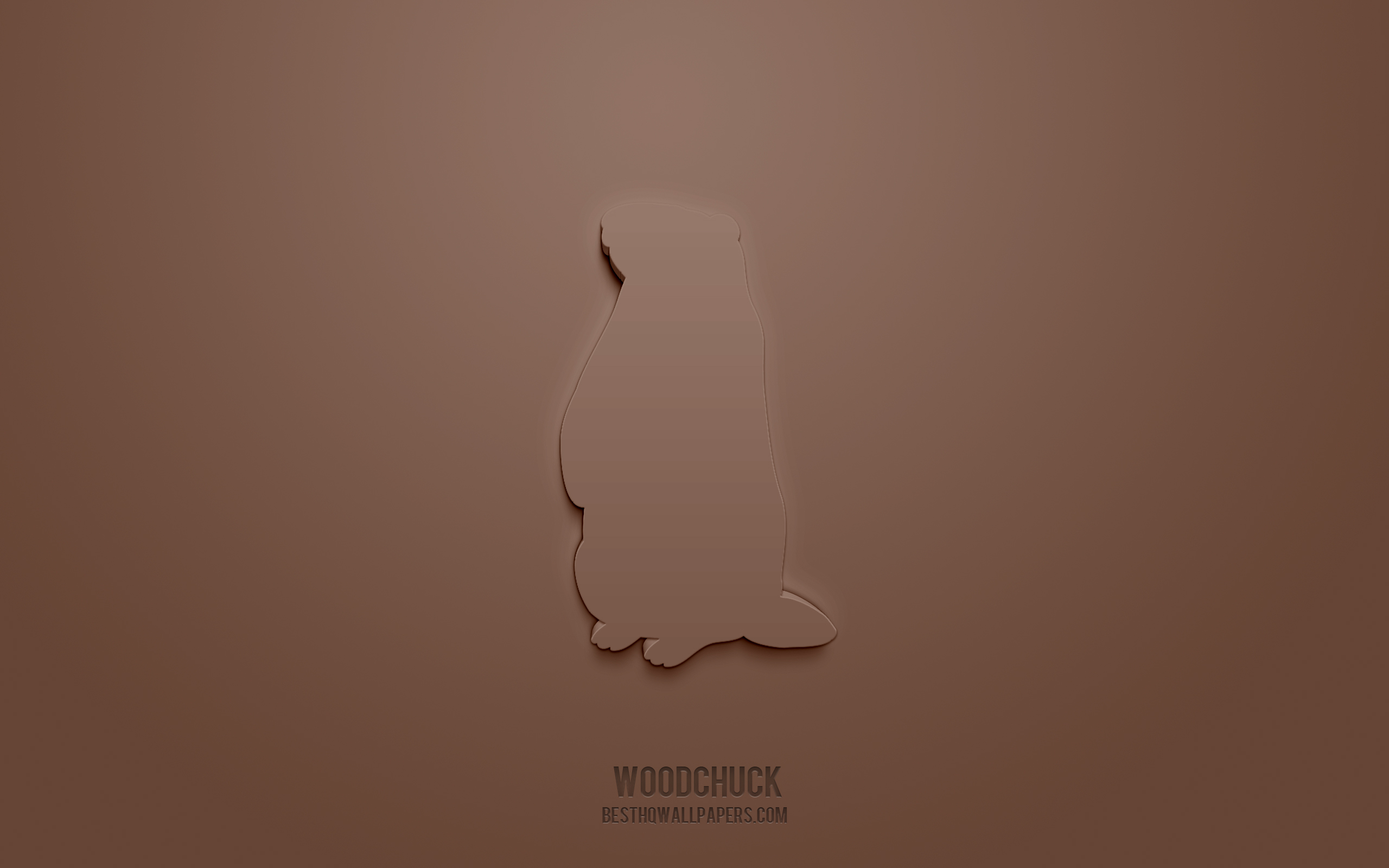 Download wallpaper Woodchuck 3D icon, brown background, 3D symbols, Woodchuck, Animals icons, 3D icons, Woodchuck sign, Animals 3D icons for desktop with resolution 2560x1600. High Quality HD picture wallpaper