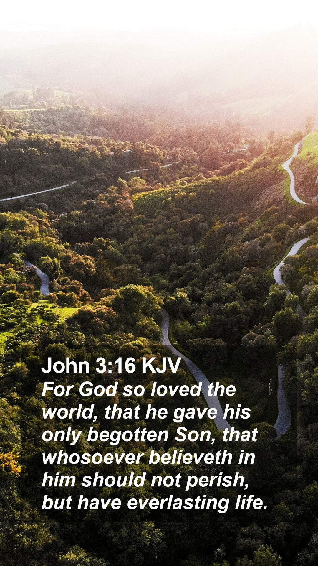 John 3:16 KJV Mobile Phone Wallpaper God so loved the world, that he gave his only