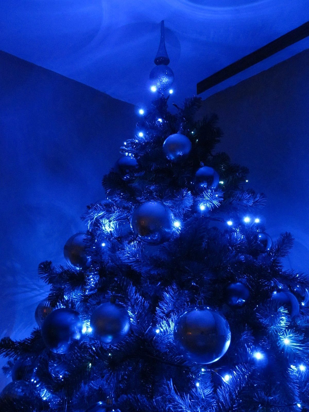 blue christmas tree. Our Blue Christmas Tree