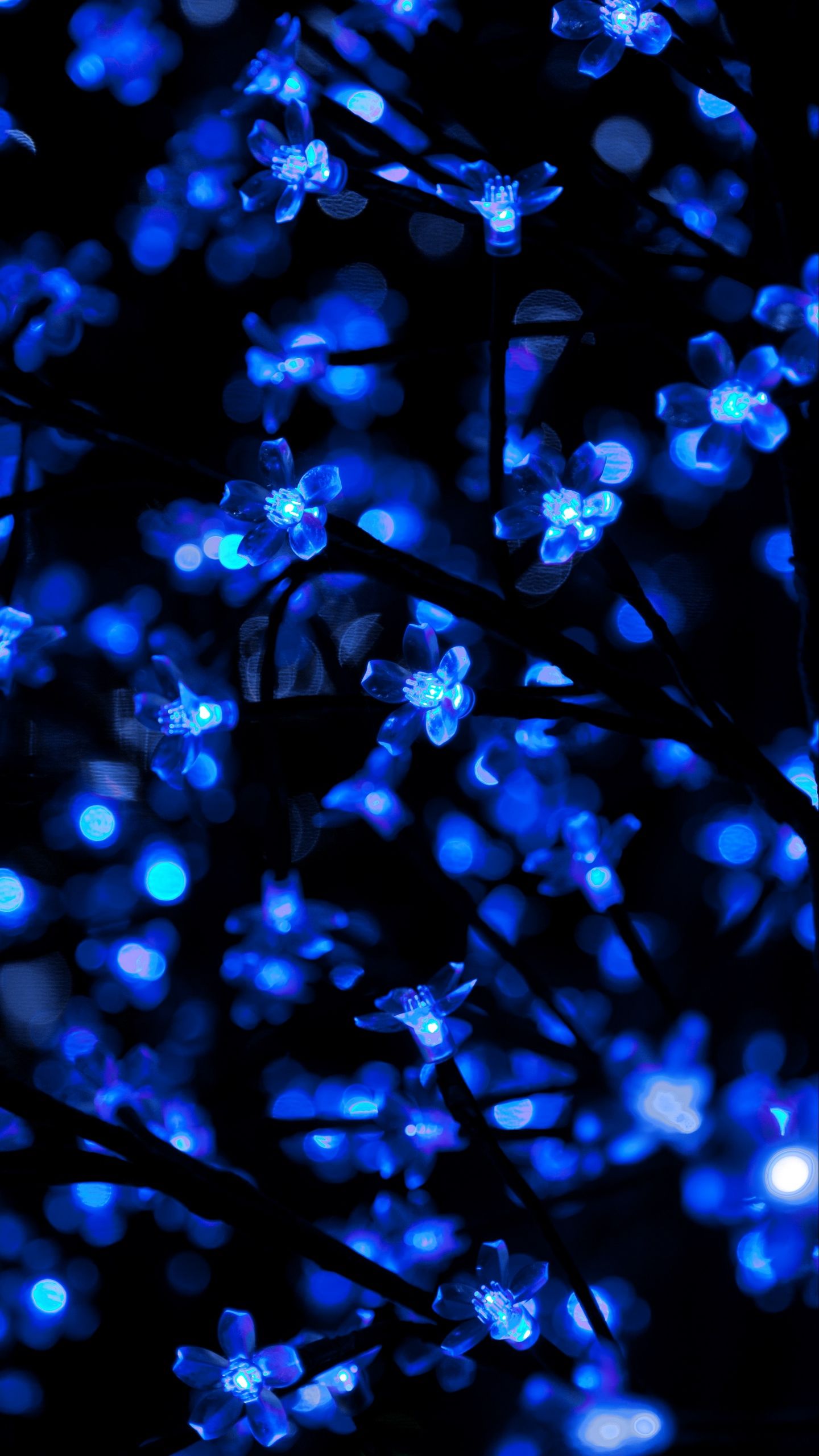 Blue Neon Lights Wallpaper, HD Blue Neon Lights Background on WallpaperBat