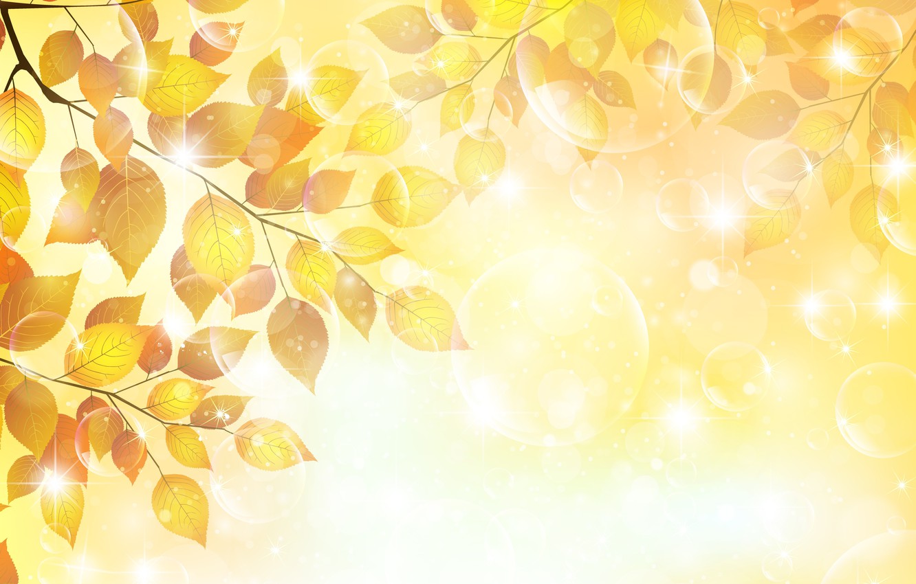 Wallpaper autumn, leaves, bubbles, sprig, glitter image for desktop, section рендеринг