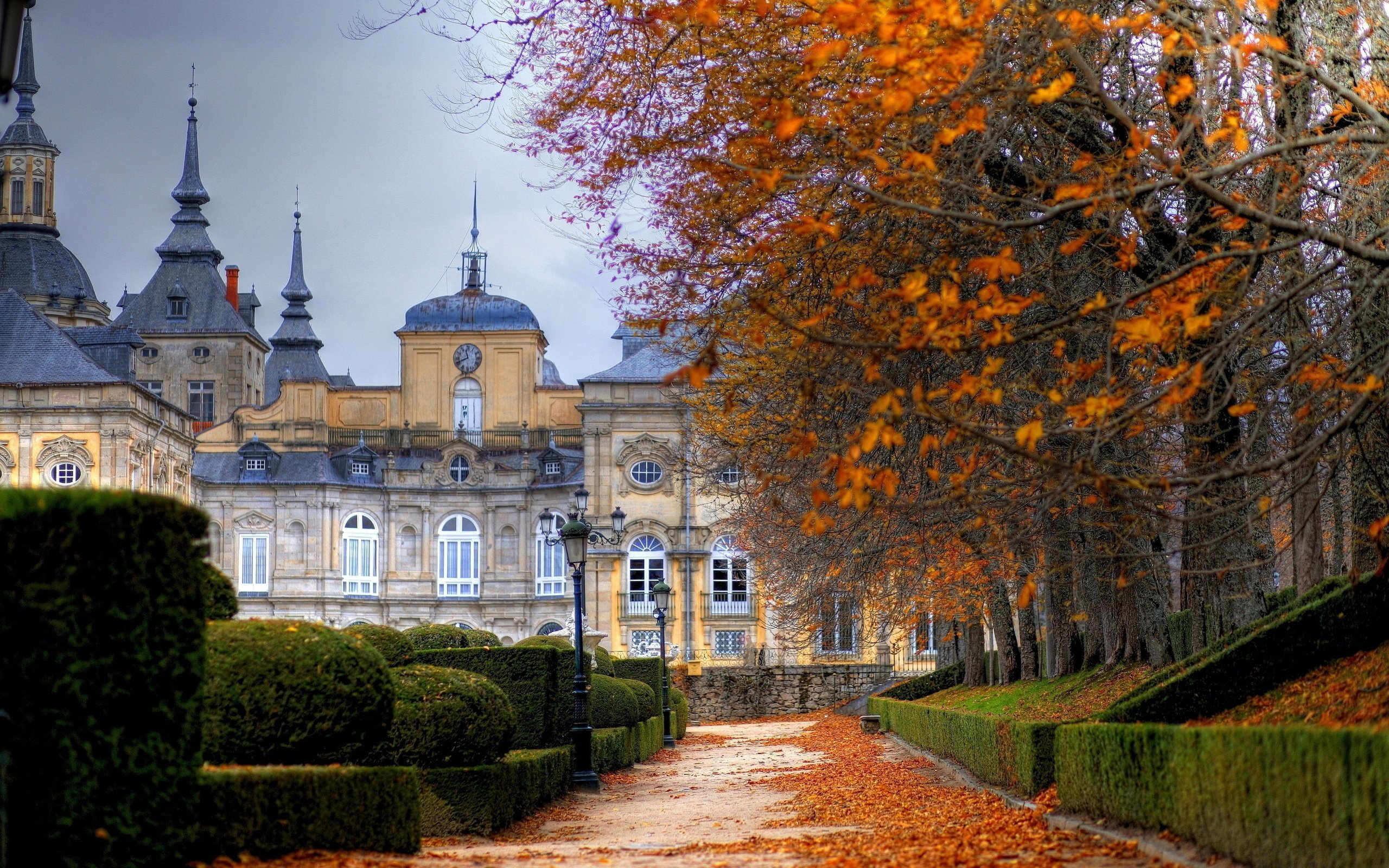 Wallpaper Autumn trees city buildings 2560x1600 HD Picture, Image
