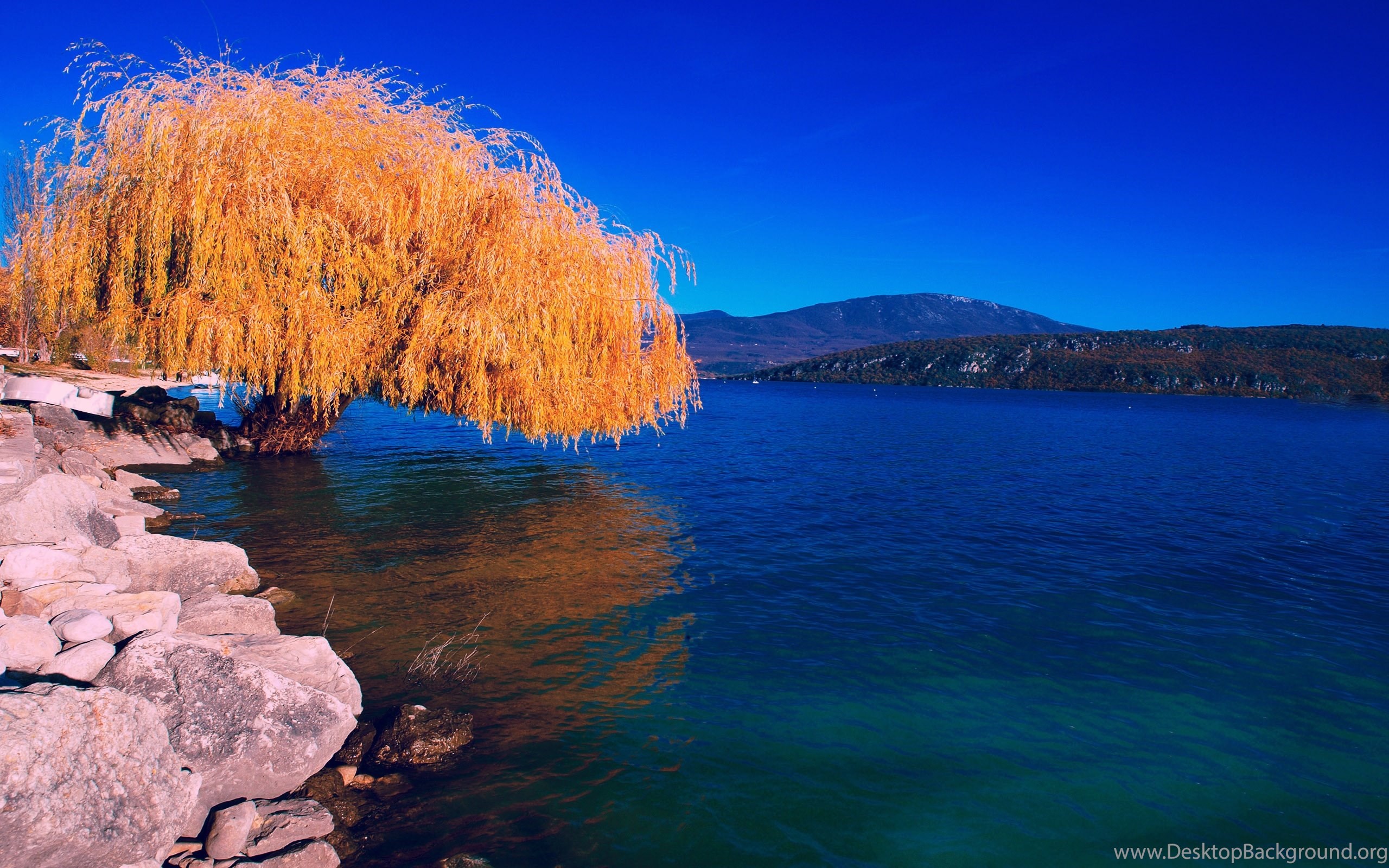 Charming Autumn Fall Scenery HD Wallpaper Widescreen 2560x1600 Desktop Background