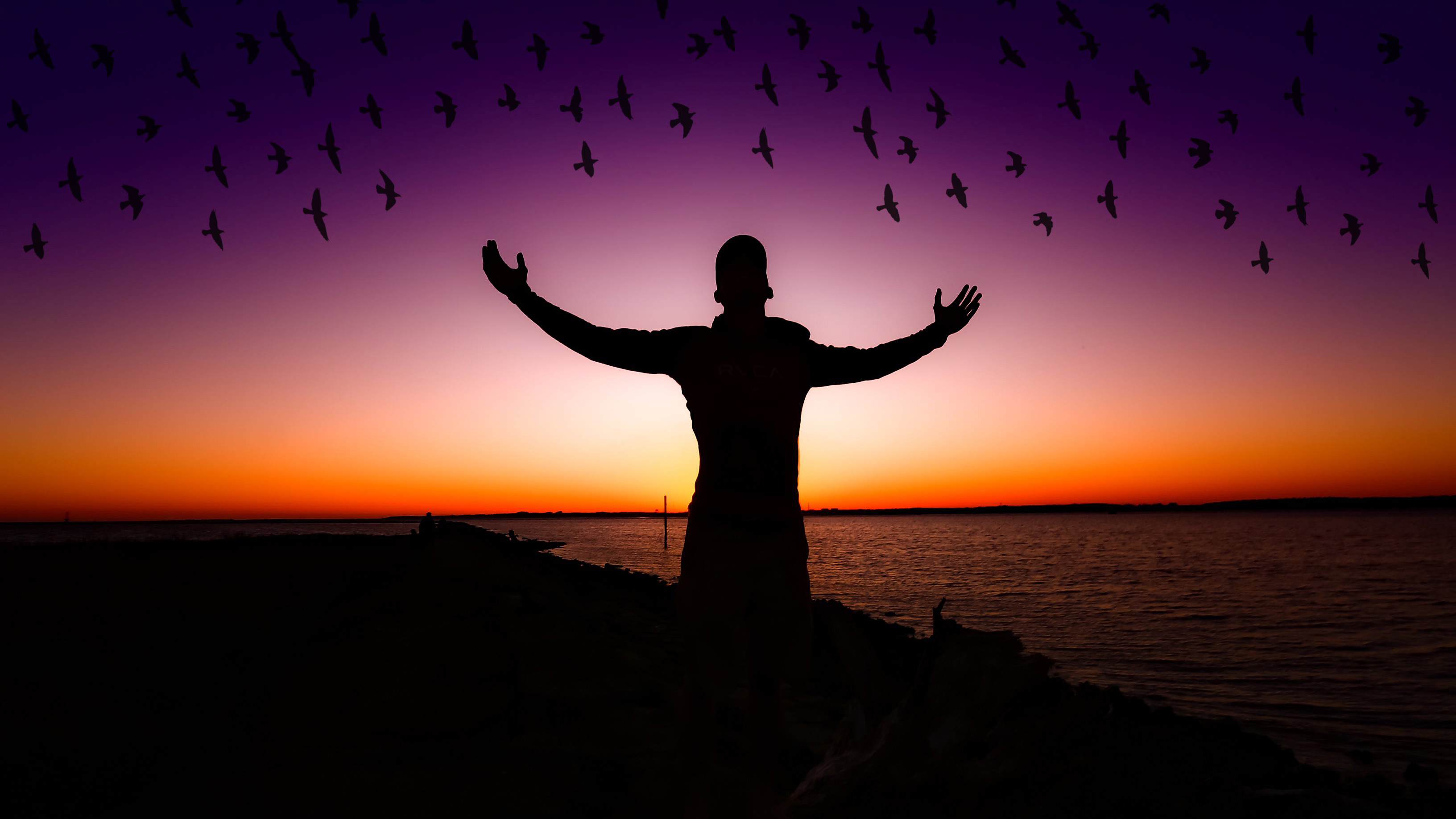 #Birds, #Happy mood, #Silhouette, #Exciting, #Sunset HD Wallpaper