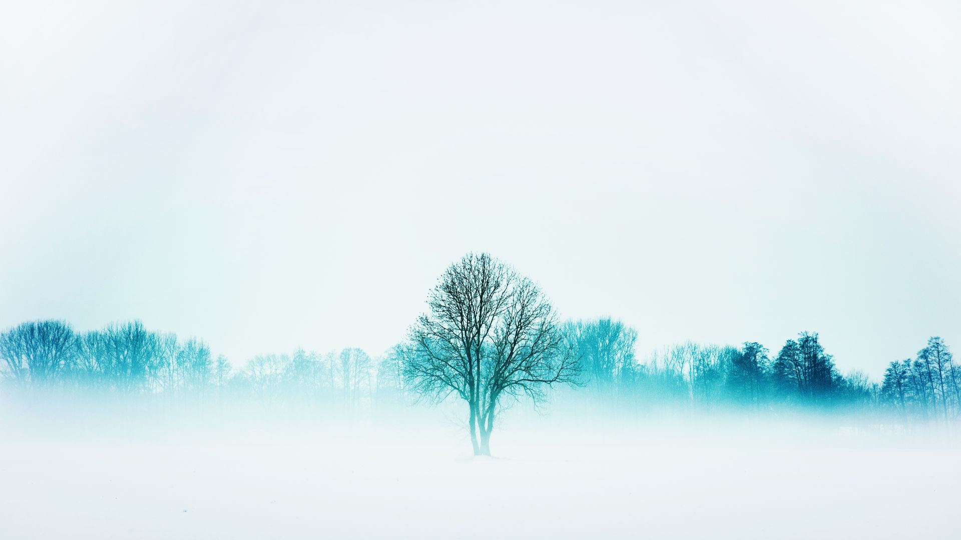 Desktop wallpaper winter, nature, trees, fog, minimal, HD image, picture, background, 8c603D