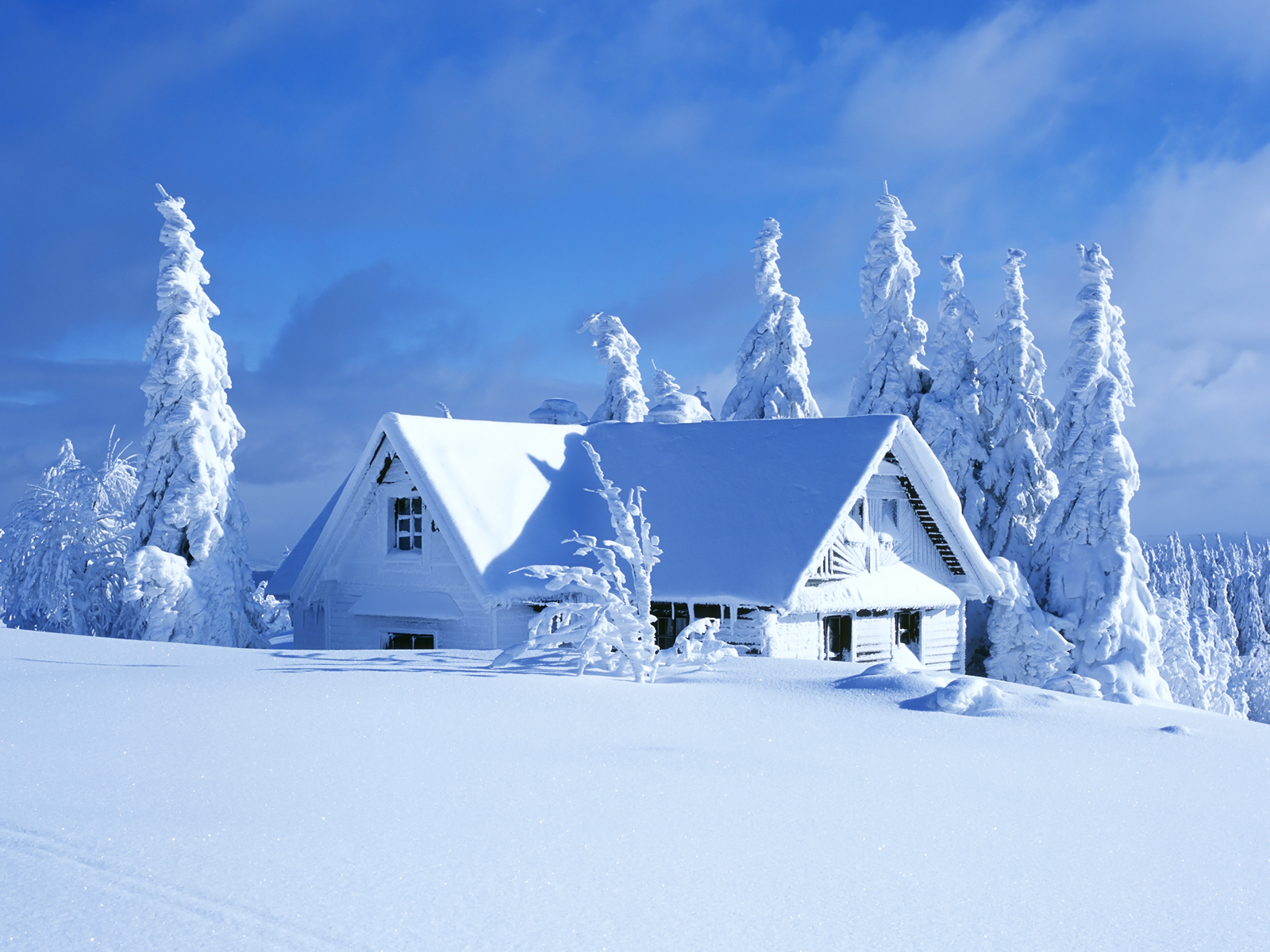 Winter House Wallpaper