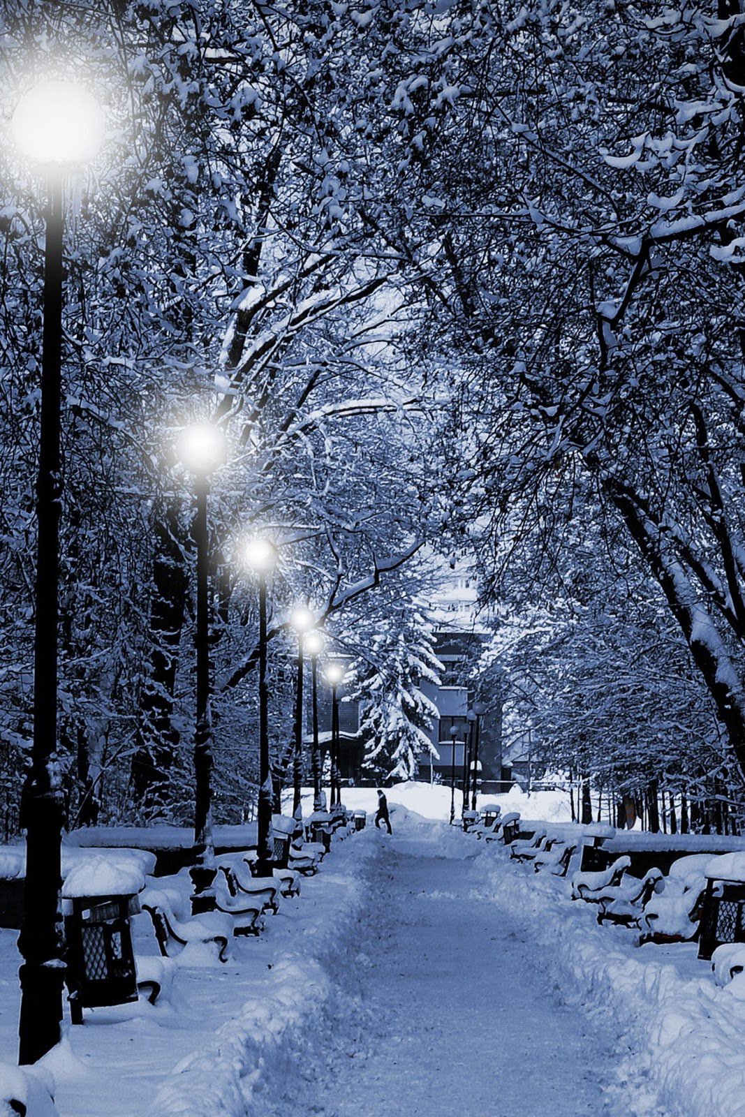 Animated Winter iPhone Wallpaper