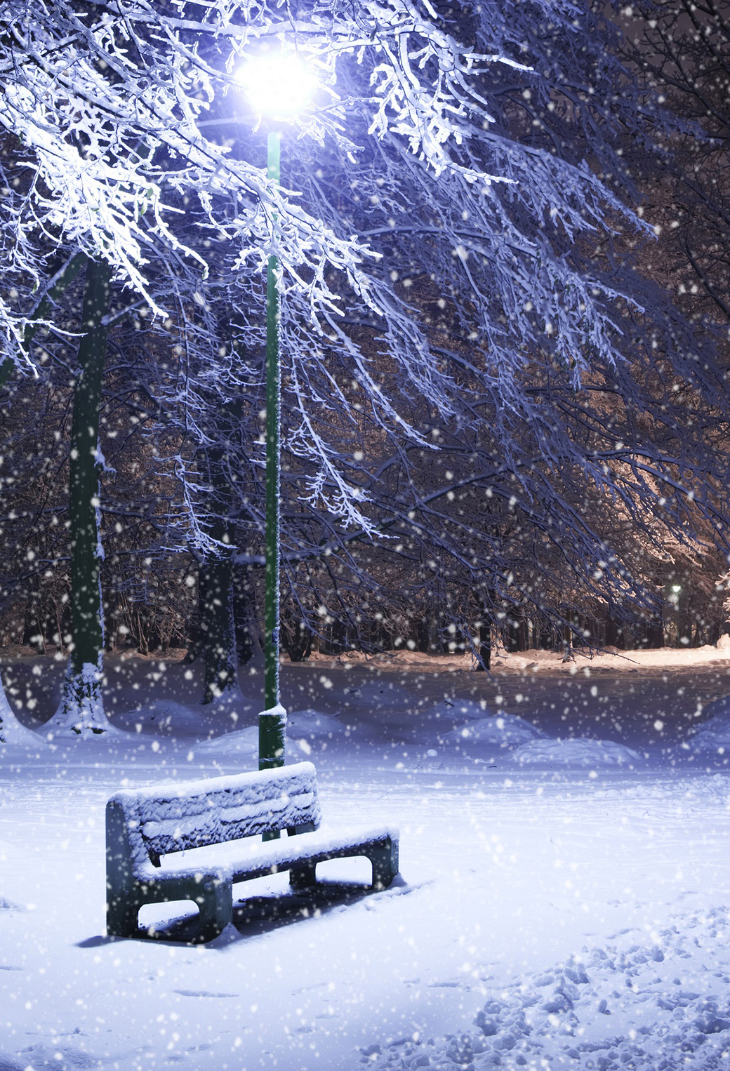 Winter Night Wallpaper for iPhone 11, Pro Max, X, 8, 7, 6
