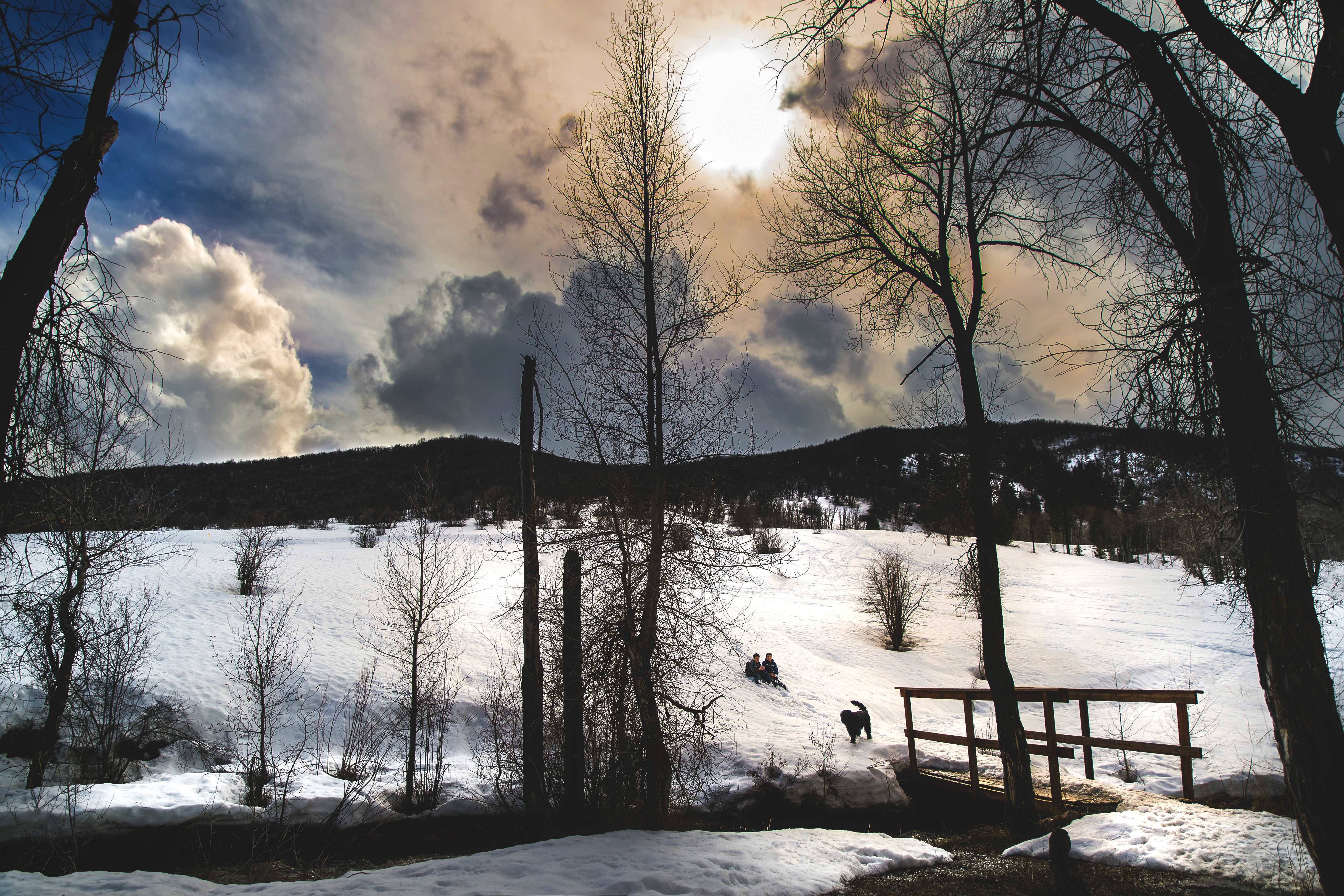 Wallpaper, sunlight, landscape, mountains, children, water, nature, reflection, sky, outdoors, snow, winter, clouds, branch, ice, evening, morning, dog, frost, bridge, Nikon, Utah, stream, Freezing, cloud, tree, outside, naturallight, nikondf