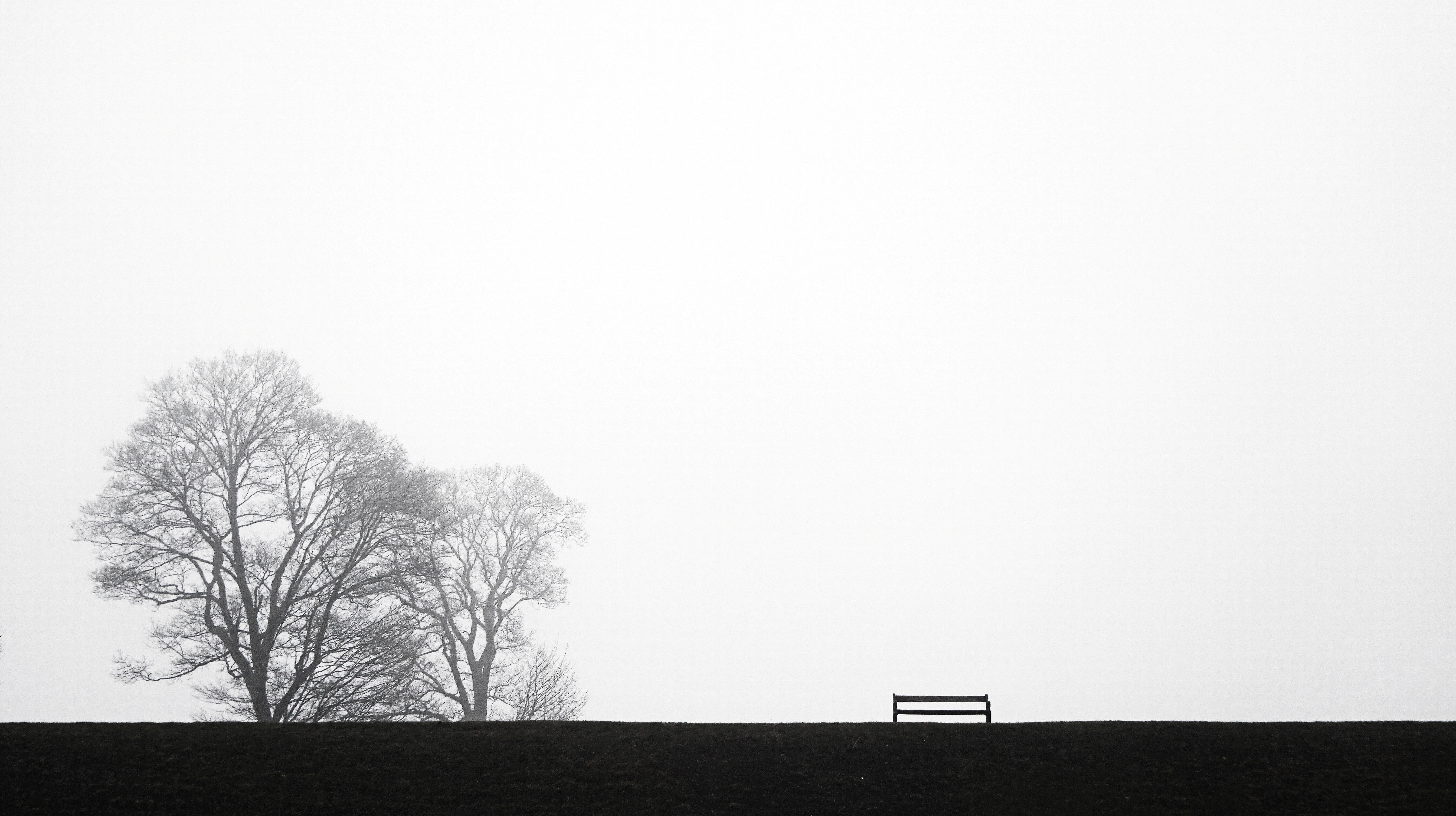 Wallpaper, bw, black, white, monochrome, landscape, landscapes, fog, bench, tree, nature, serene, minimalistic, minimal, Sony, alpha, a6000, sky, winter, trees, silhouet, silhuet, silhuette, view, unknown, Denmark, Scandinavia, Europe, flickr