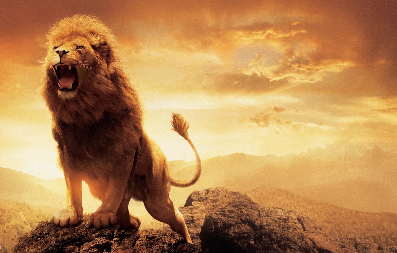 Wallpaper Leo, Lion, The Chronicles Of Narnia, Aslan, The Chronicles of Narnia, Aslan image for desktop, section фильмы