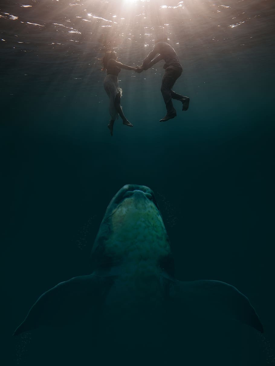 Couple Underwater Shot, Photo Montage, Surreal, Fantasy Picture Of Water