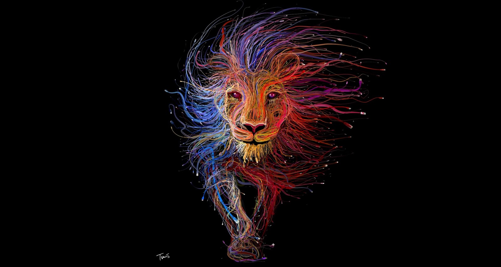 Lion Wires Art 720p HD 4k Wallpaper Image Background Wallpaper HD