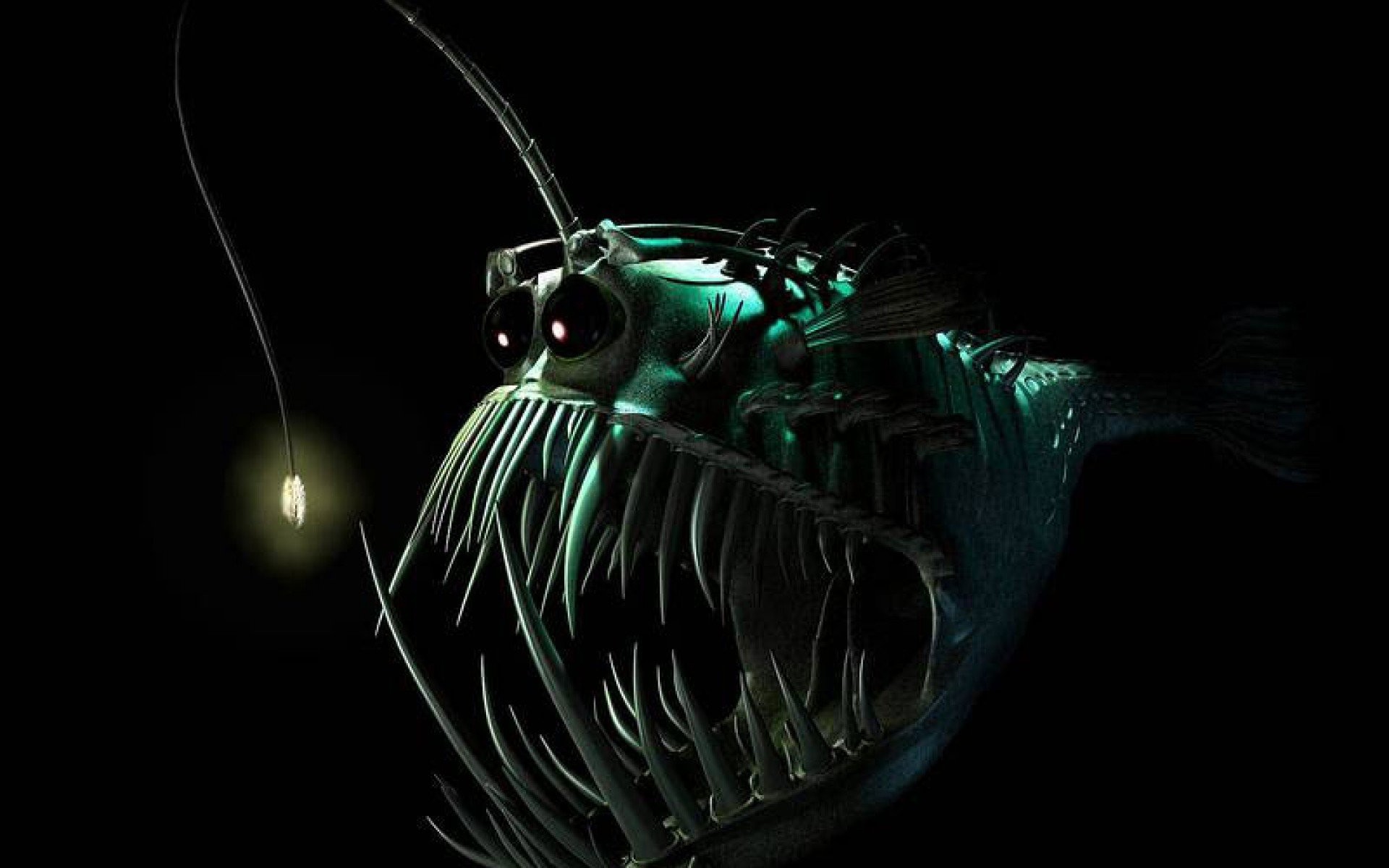 Anglerfish Fish Ocean Sea Underwater Dark Creepy Monster Fangs Wallpaper At Dark Wallpaper