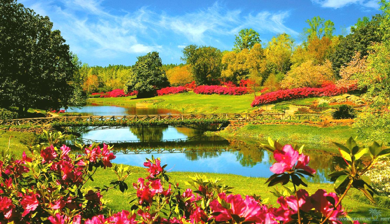 Natural Wallpaper. Free HD Background