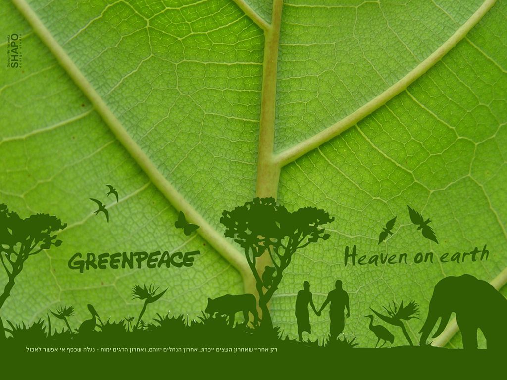 Greenpeace Wallpaper