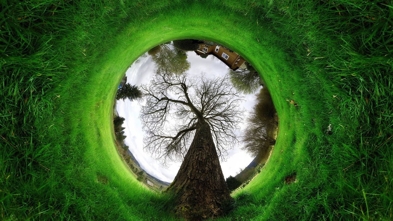 Sign Greenpeace Volcom Wallpaper