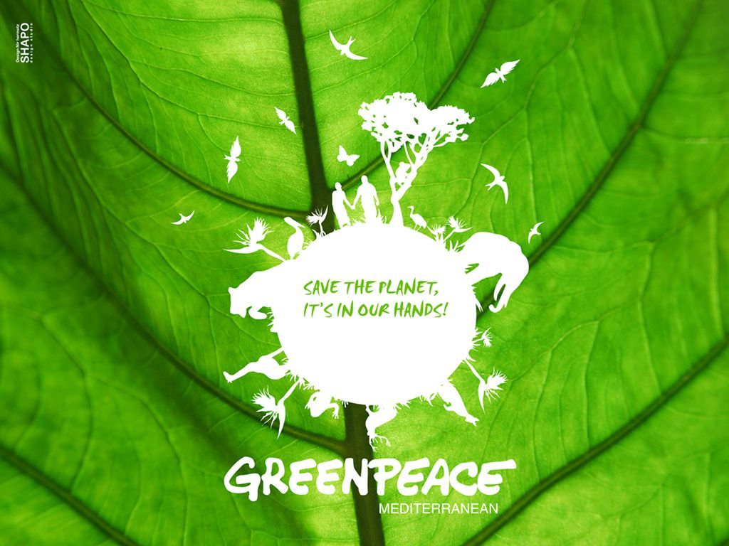 Greenpeace Wallpaper Free Greenpeace Background