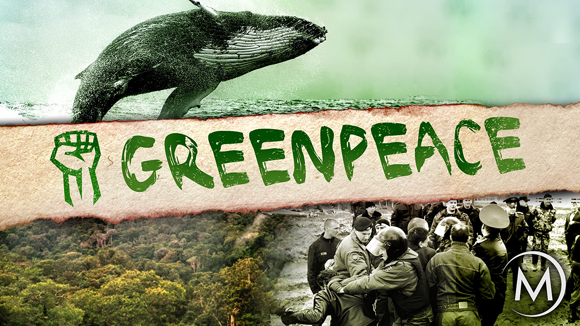 Greenpeace Wallpaper HD Wallpaper