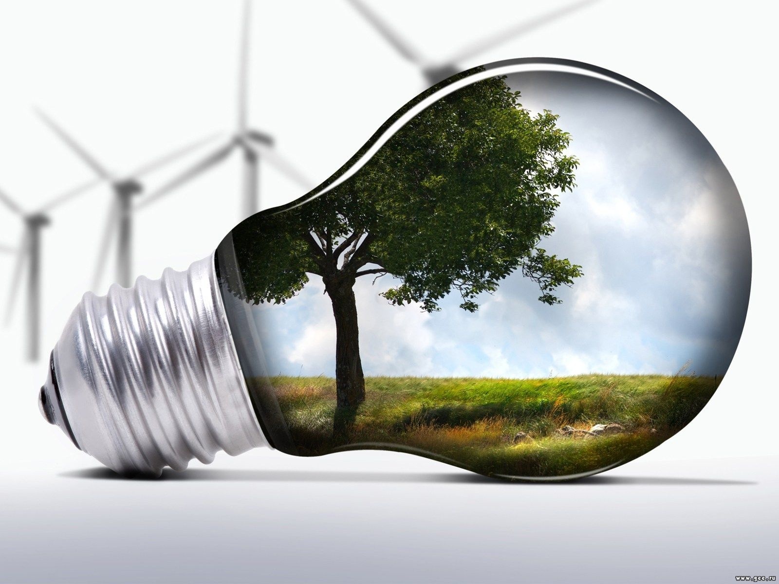 Greenpeace wallpaperx1200