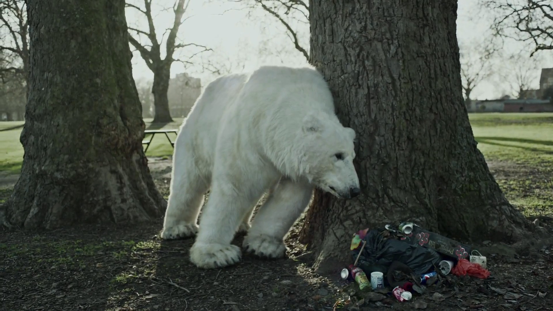 Greenpeace wallpaperx1080