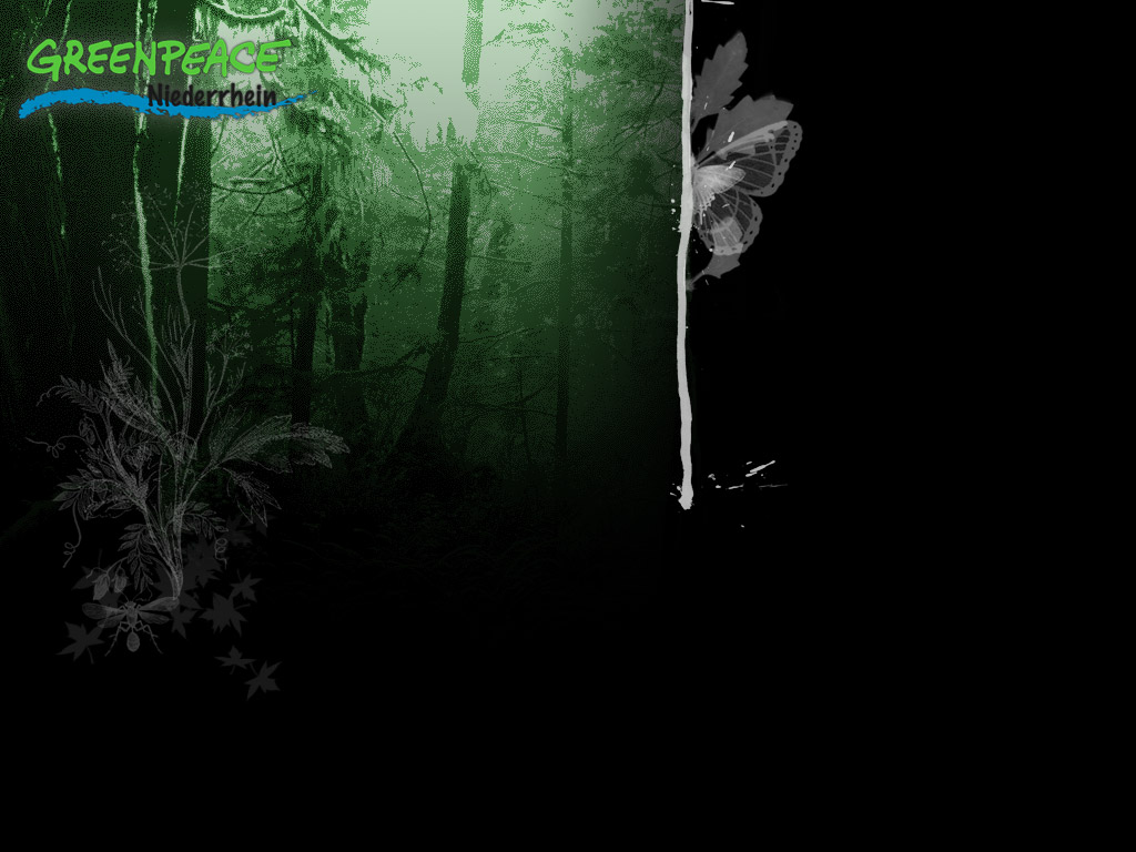 Download Greenpeace Greenpeace Wallpaper 1024x768