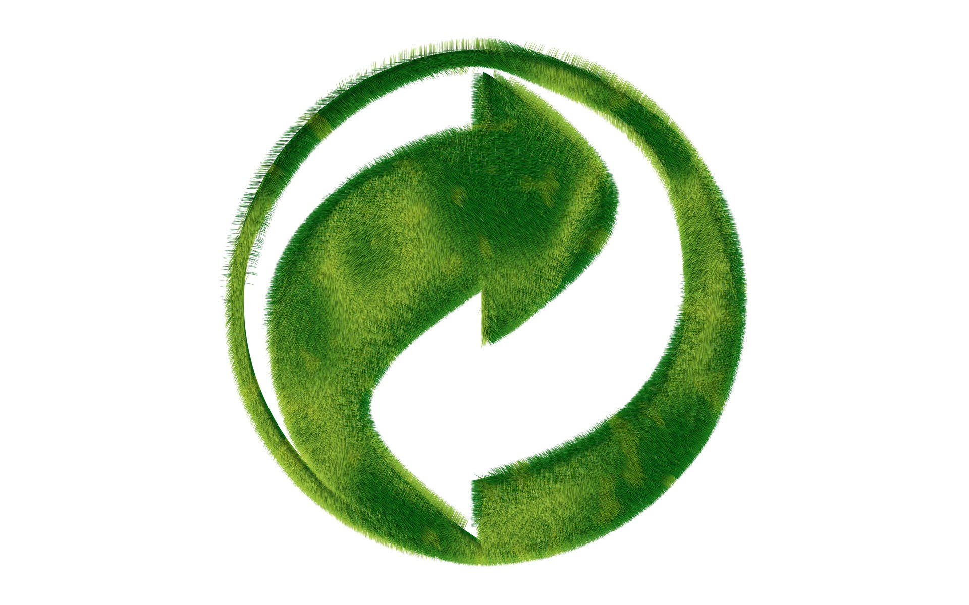 Greenpeace Wallpaper